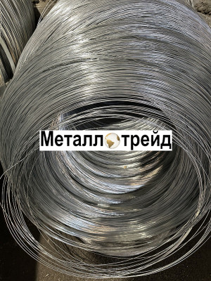 Проволока нержавеющая EN 10270-3 1.4310 AISI 302 8 мм
